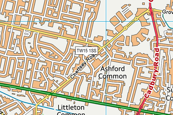 TW15 1SS map - OS VectorMap District (Ordnance Survey)