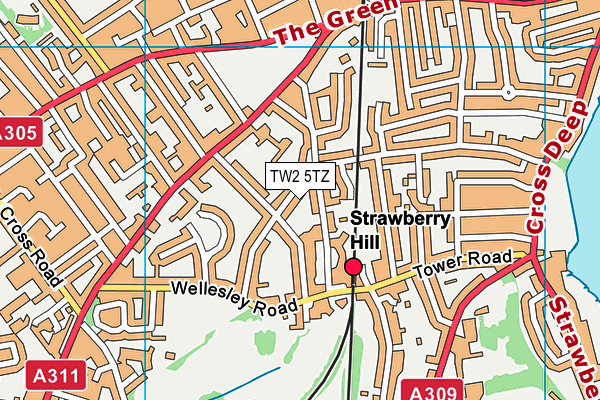 TW2 5TZ map - OS VectorMap District (Ordnance Survey)