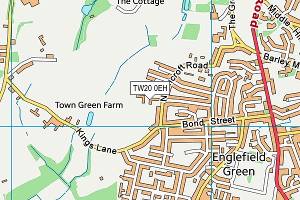 TW20 0EH map - OS VectorMap District (Ordnance Survey)