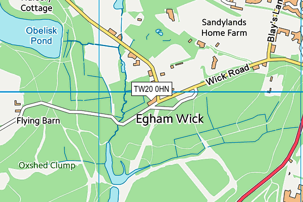 TW20 0HN map - OS VectorMap District (Ordnance Survey)