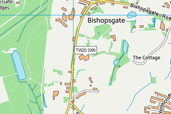 TW20 0XN map - OS VectorMap District (Ordnance Survey)