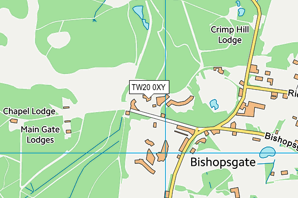 TW20 0XY map - OS VectorMap District (Ordnance Survey)