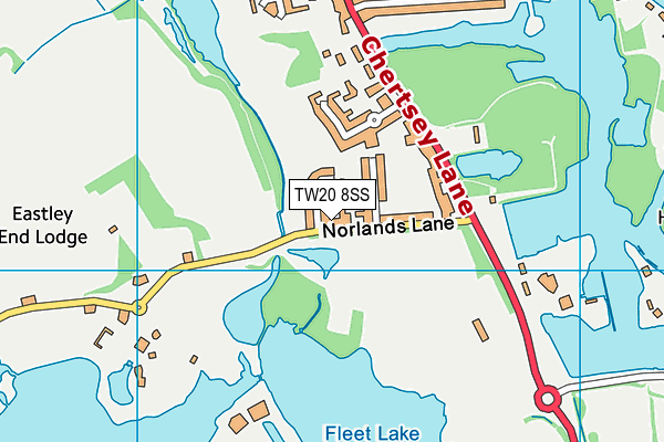 TW20 8SS map - OS VectorMap District (Ordnance Survey)