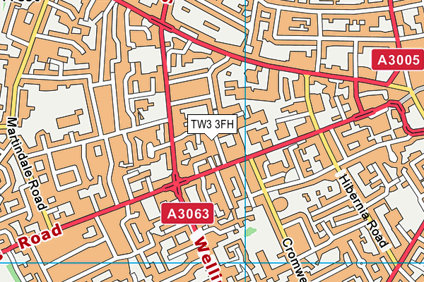 TW3 3FH map - OS VectorMap District (Ordnance Survey)