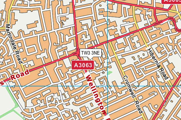 TW3 3NE map - OS VectorMap District (Ordnance Survey)