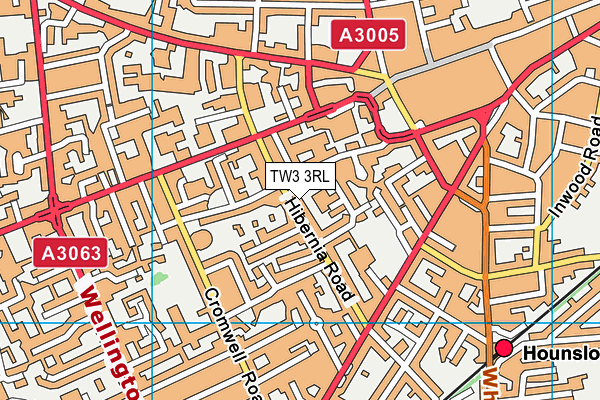 TW3 3RL map - OS VectorMap District (Ordnance Survey)
