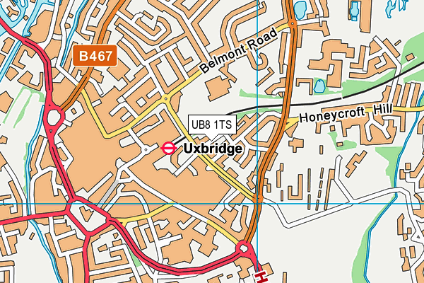 UB8 1TS map - OS VectorMap District (Ordnance Survey)