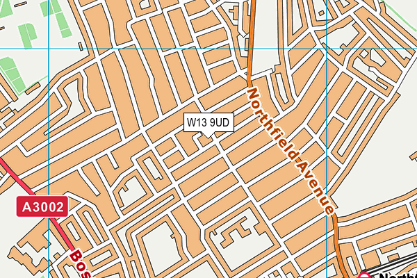 W13 9UD map - OS VectorMap District (Ordnance Survey)