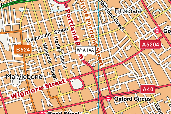 W1A 1AA map - OS VectorMap District (Ordnance Survey)