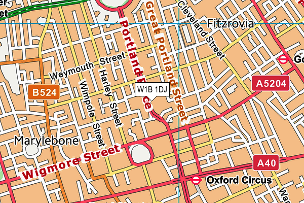 W1B 1DJ map - OS VectorMap District (Ordnance Survey)