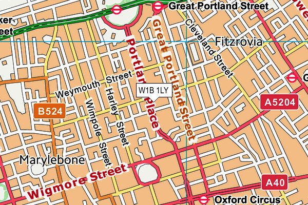 W1B 1LY map - OS VectorMap District (Ordnance Survey)