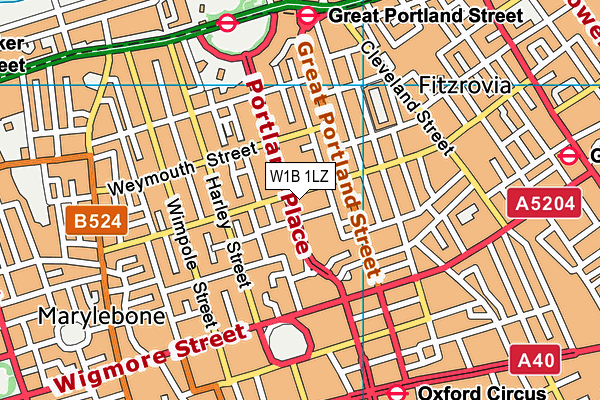 W1B 1LZ map - OS VectorMap District (Ordnance Survey)