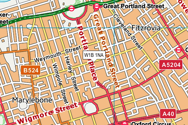 W1B 1NA map - OS VectorMap District (Ordnance Survey)