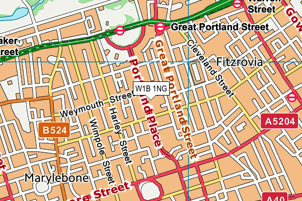 W1B 1NG map - OS VectorMap District (Ordnance Survey)