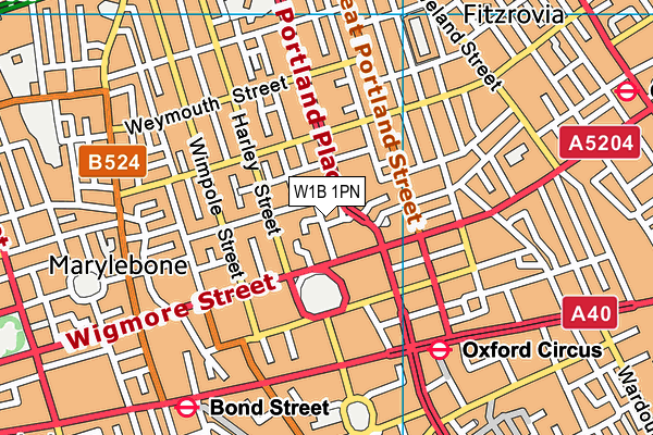 W1B 1PN map - OS VectorMap District (Ordnance Survey)