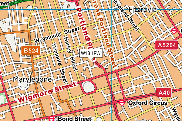 W1B 1PW map - OS VectorMap District (Ordnance Survey)