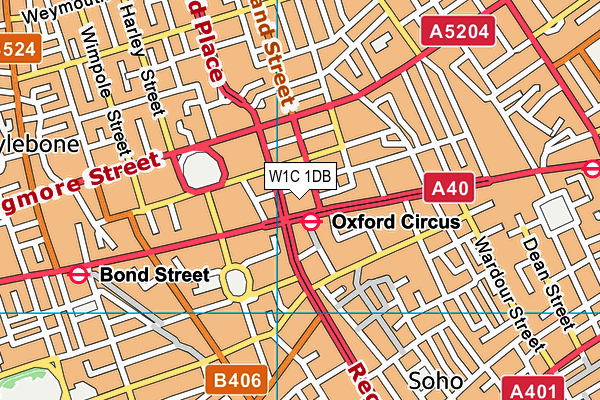 W1C 1DB map - OS VectorMap District (Ordnance Survey)