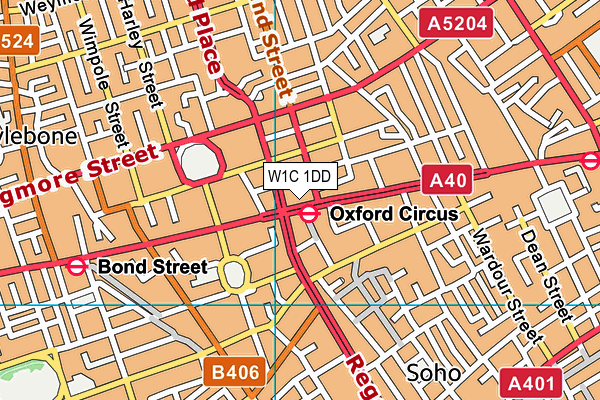 W1C 1DD map - OS VectorMap District (Ordnance Survey)