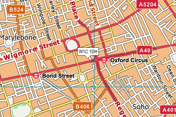 W1C 1DH map - OS VectorMap District (Ordnance Survey)