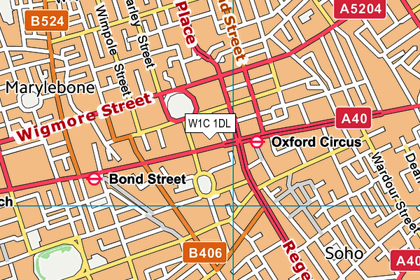 W1C 1DL map - OS VectorMap District (Ordnance Survey)