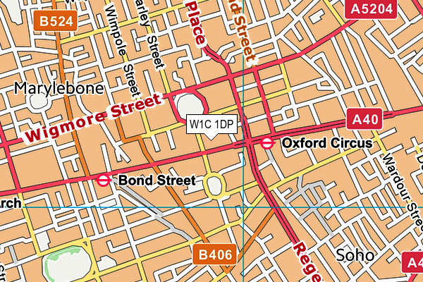 W1C 1DP map - OS VectorMap District (Ordnance Survey)