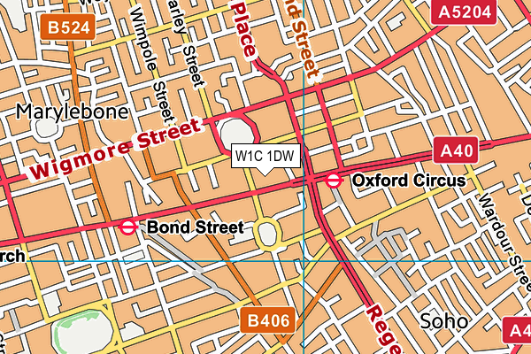 W1C 1DW map - OS VectorMap District (Ordnance Survey)
