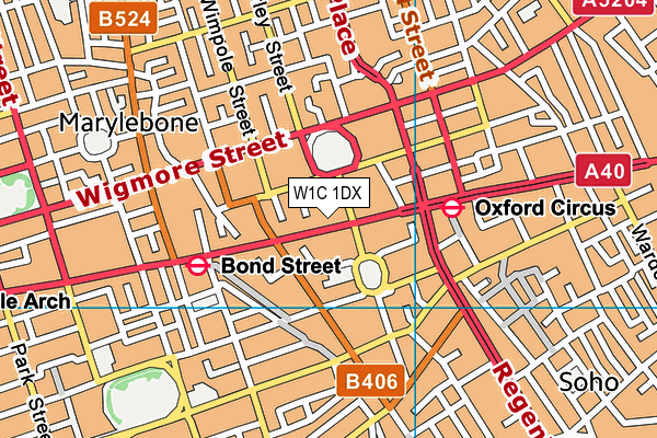 W1C 1DX map - OS VectorMap District (Ordnance Survey)