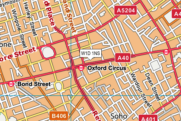 W1D 1NS map - OS VectorMap District (Ordnance Survey)