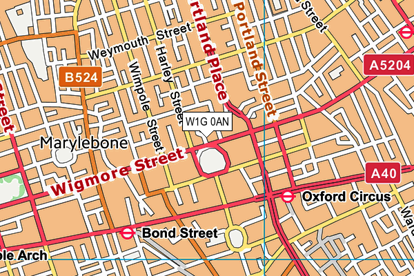 W1G 0AN map - OS VectorMap District (Ordnance Survey)