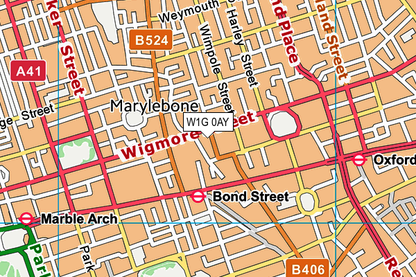 W1G 0AY map - OS VectorMap District (Ordnance Survey)