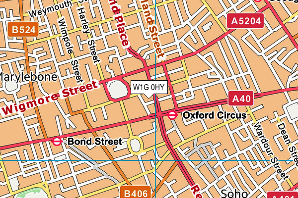 W1G 0HY map - OS VectorMap District (Ordnance Survey)