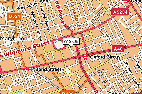 W1G 0JE map - OS VectorMap District (Ordnance Survey)