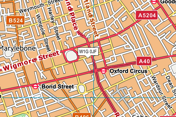 W1G 0JF map - OS VectorMap District (Ordnance Survey)
