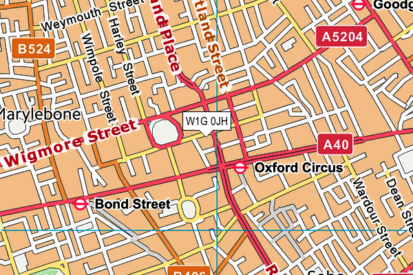 W1G 0JH map - OS VectorMap District (Ordnance Survey)