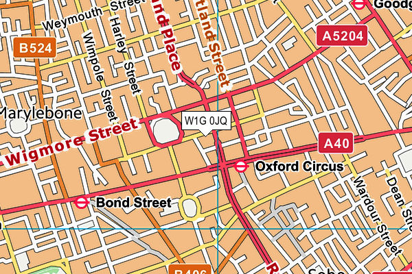 W1G 0JQ map - OS VectorMap District (Ordnance Survey)