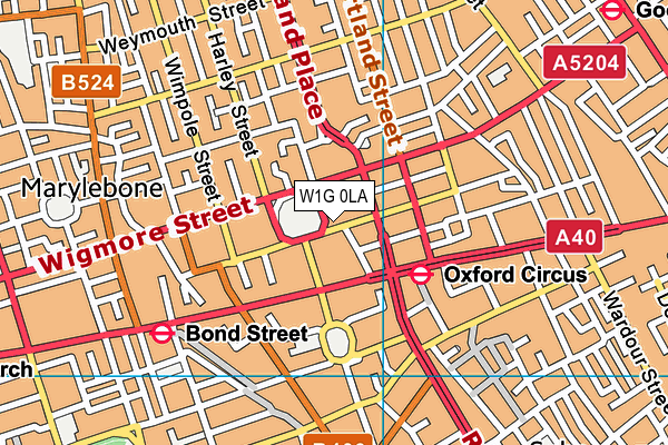 W1G 0LA map - OS VectorMap District (Ordnance Survey)