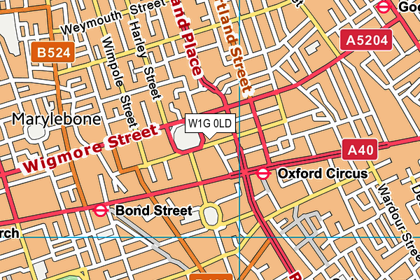 W1G 0LD map - OS VectorMap District (Ordnance Survey)