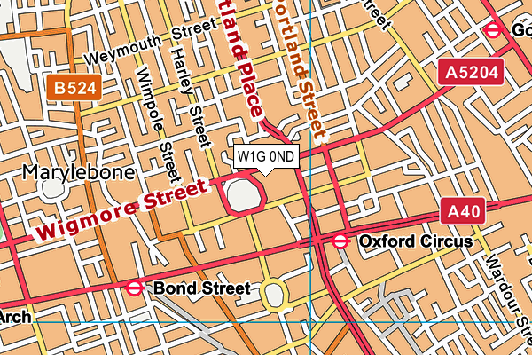W1G 0ND map - OS VectorMap District (Ordnance Survey)