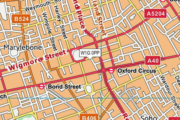 W1G 0PP map - OS VectorMap District (Ordnance Survey)
