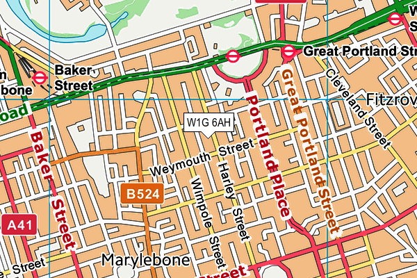 W1G 6AH map - OS VectorMap District (Ordnance Survey)