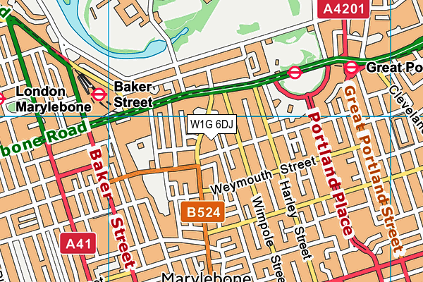 W1G 6DJ map - OS VectorMap District (Ordnance Survey)