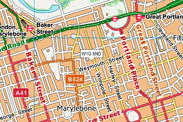 W1G 6ND map - OS VectorMap District (Ordnance Survey)