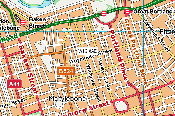 W1G 8AE map - OS VectorMap District (Ordnance Survey)