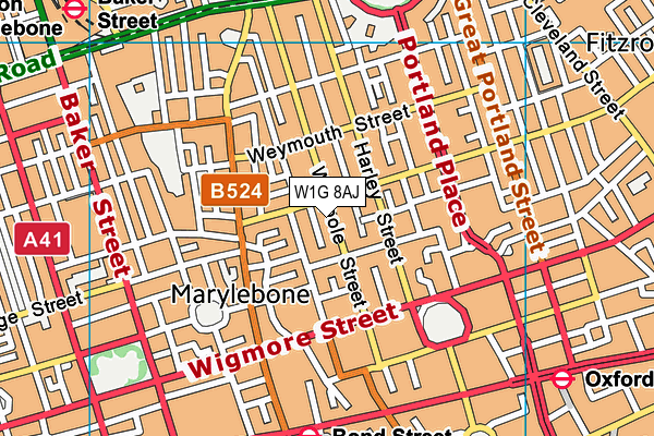 W1G 8AJ map - OS VectorMap District (Ordnance Survey)