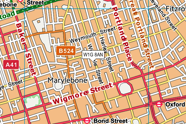 W1G 8AN map - OS VectorMap District (Ordnance Survey)