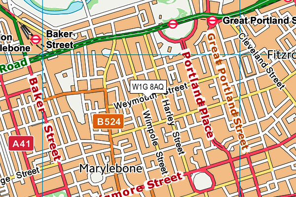 W1G 8AQ map - OS VectorMap District (Ordnance Survey)