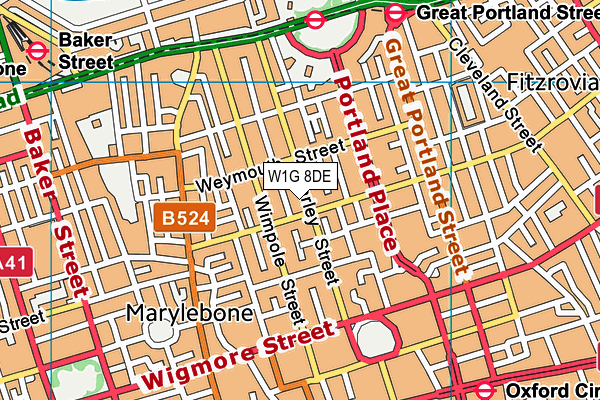 W1G 8DE map - OS VectorMap District (Ordnance Survey)