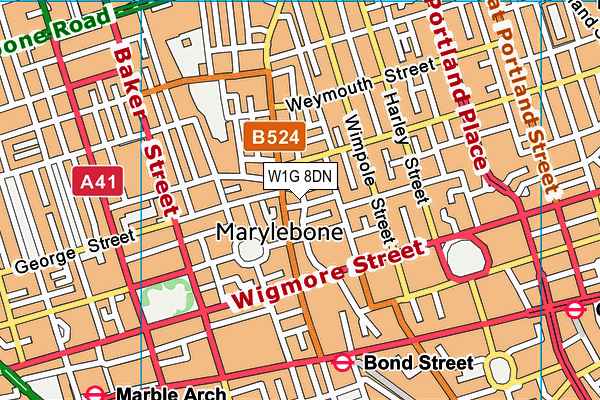 W1G 8DN map - OS VectorMap District (Ordnance Survey)
