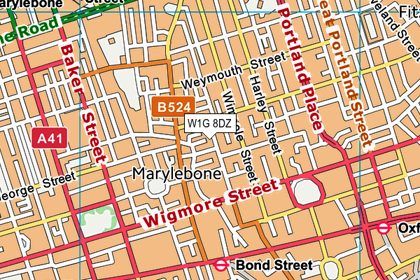 W1G 8DZ map - OS VectorMap District (Ordnance Survey)