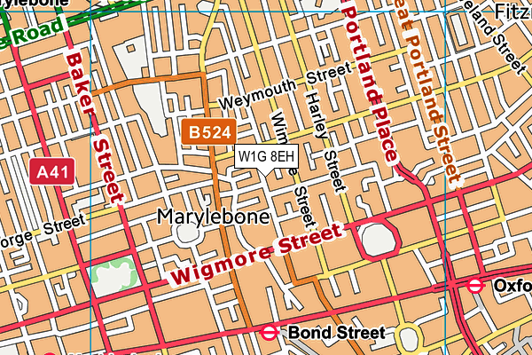 W1G 8EH map - OS VectorMap District (Ordnance Survey)